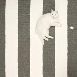 Teppich Bob, 70 X 200 Cm, Schwarz-vanille -Heimtextilien 1Pappelina iso HV 1