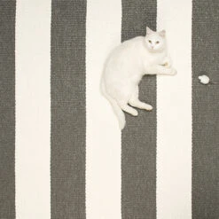 Teppich Bob, 70 X 120 Cm, Schwarz-vanille -Heimtextilien 1Pappelina iso HV