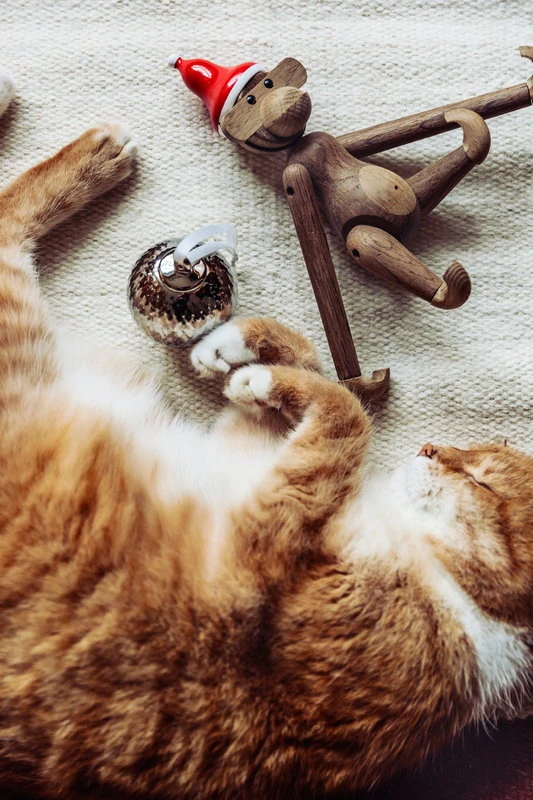 Ferm LIVING Kelim-Teppich, Borders, 80 X 140 Cm 6 Ferm LIVING Kelim-Teppich, Borders, 80 X 140 Cm – Bild 4